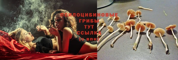 mix Абинск