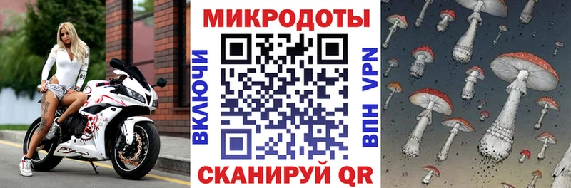 Псилоцибиновые грибы Cubensis где купить Вилюйск